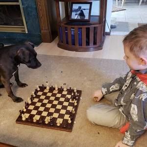 Meet your Posher, Diane